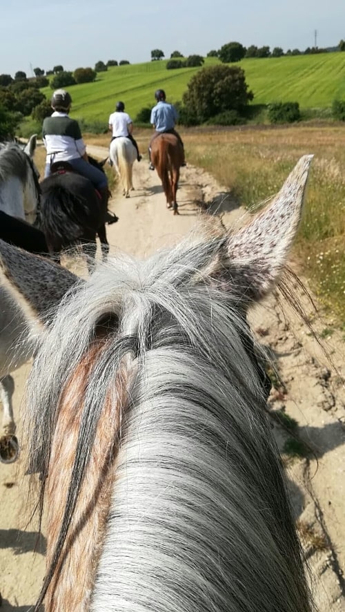 Bonitas rutas a caballo en Móstoles, Fuenlabrada, Valdemorillo...