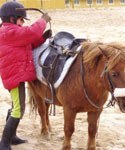 Campamento de equitacion en verano, Semana Santa y Navidad en Sevilla la Nueva, Navalcarnero, Villanueva de la Cañada...