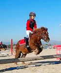 Clases de hípica baratas para niños en Sevilla la Nueva, Navalcarnero, Villanueva de la Canada, Valdemorillo...