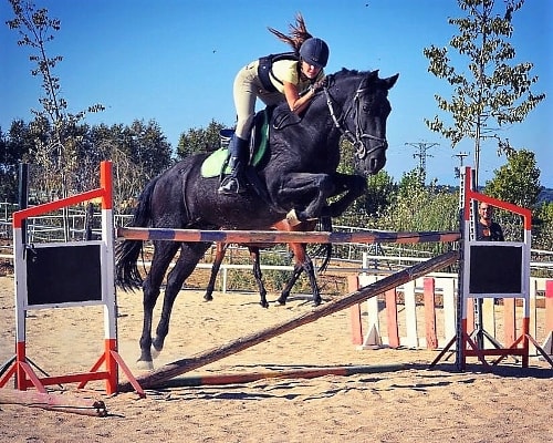 Clases de montar a caballo en Alcorcón, Móstoles, Fuenlabrada, Getafe...