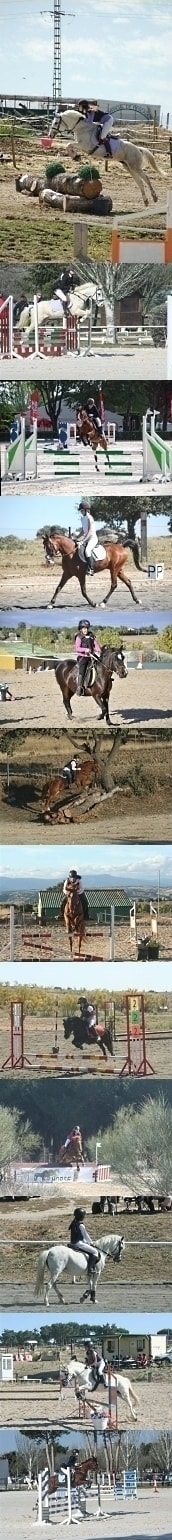 Centro Ecuestre El Madroño. Compartir caballo y fruto por alimento