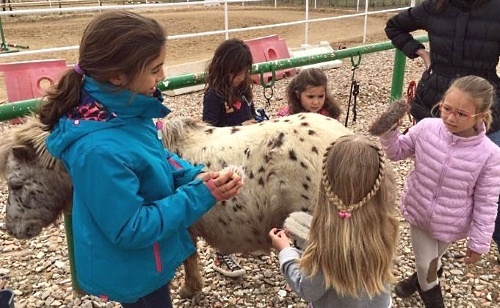 Fiestas y cumpleaños temáticos para niños en Alcorcón, Móstoles, Fuenlabrada, Getafe...