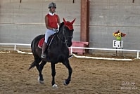 Exámenes de galopes en Alcorcón, Móstoles, Fuenlabrada