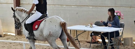 Exámenes de galopes en Majadahonda, Boadilla del Monte, Pozuelo, Las Rozas...