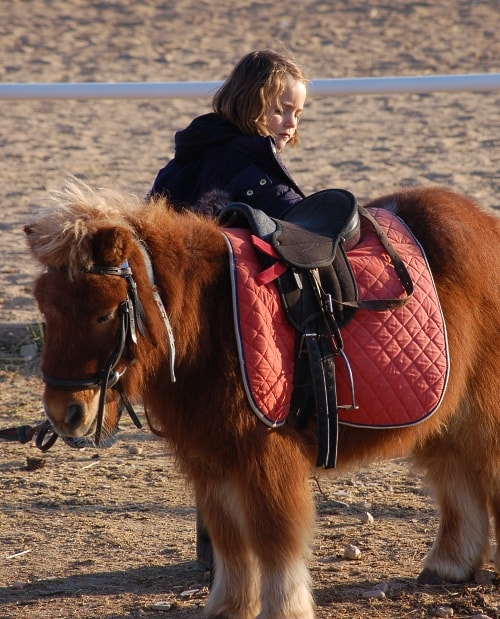Lecciones de montar a caballo para niños en Alcorcón, Móstoles, Fuenlabrada, Getafe...