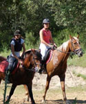 Paseos a caballo en Sevilla la Nueva, Navalcarnero, Villanueva de la Cañada, Majadahonda...