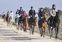 Rutas económicas a caballo o en poni en Madrid